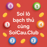 Kinh Nghiem Soi Cau Bach Thu