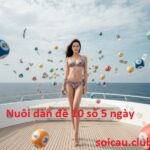 Dàn Đề 10 Số 5 Ngày