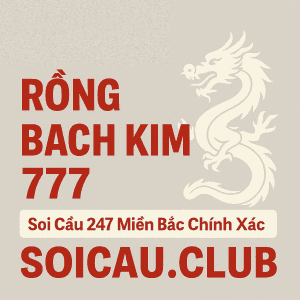 Soi Cầu Rồng Bạch Kim 777