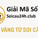 Giải Mã Số Học - Soi Cầu 24h