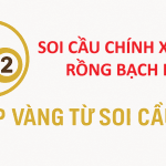 Soi Cầu Chính Xác 100 Rồng Bạch Kim