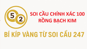 Soi Cầu Chính Xác 100 Rồng Bạch Kim
