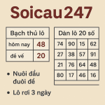 Soicau247 - Soi Cầu 247